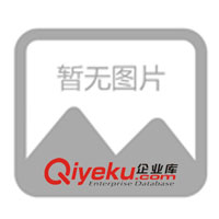 美國(guó)EXTECH 高精度溫濕度計(jì) RH390